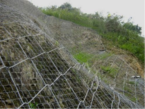 邊坡防護網(wǎng)施工后的綠化工程 技術(shù)與實踐指南